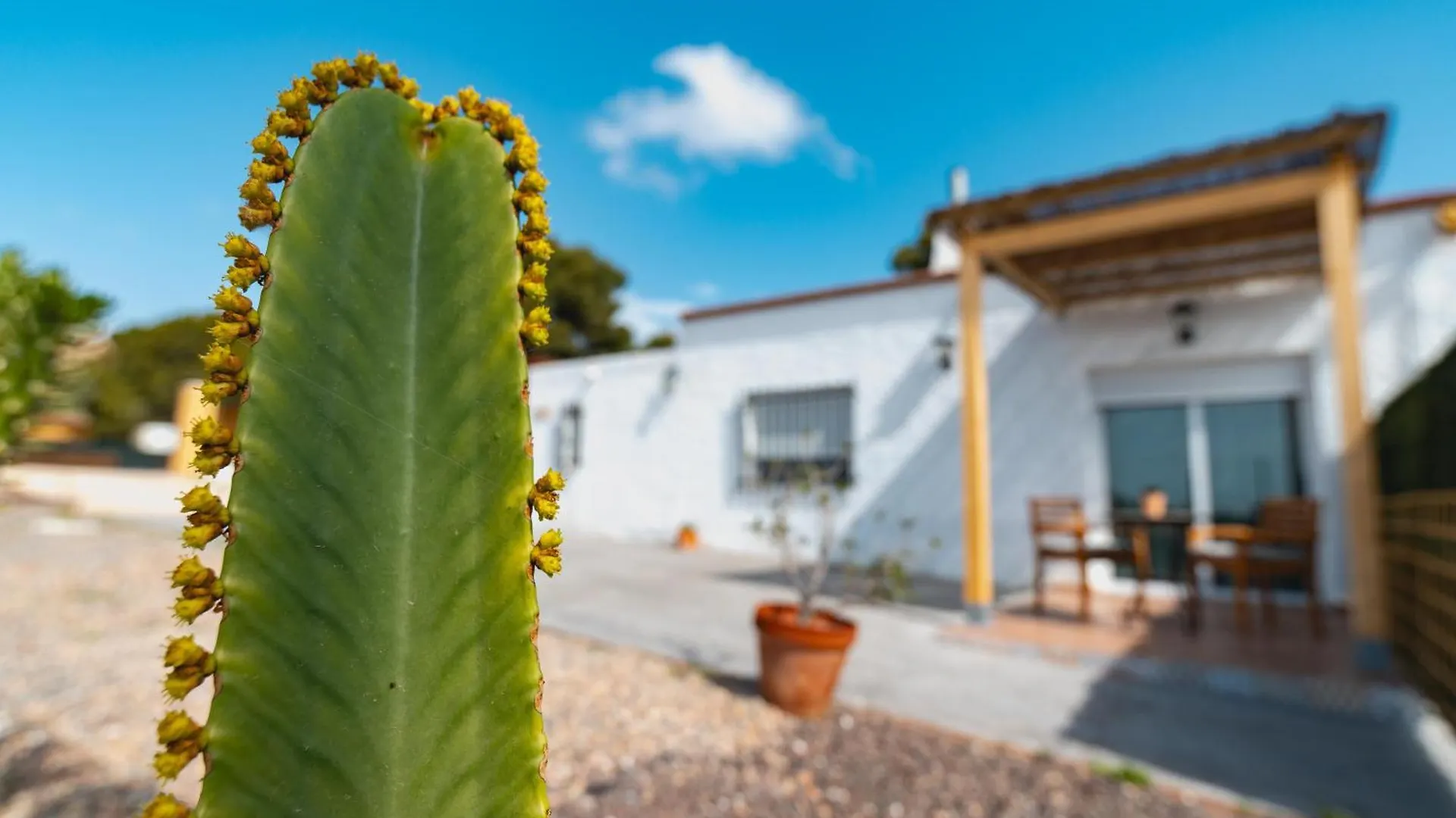 Holiday home Cortijo Pinar 2 Villa Nijar Spain